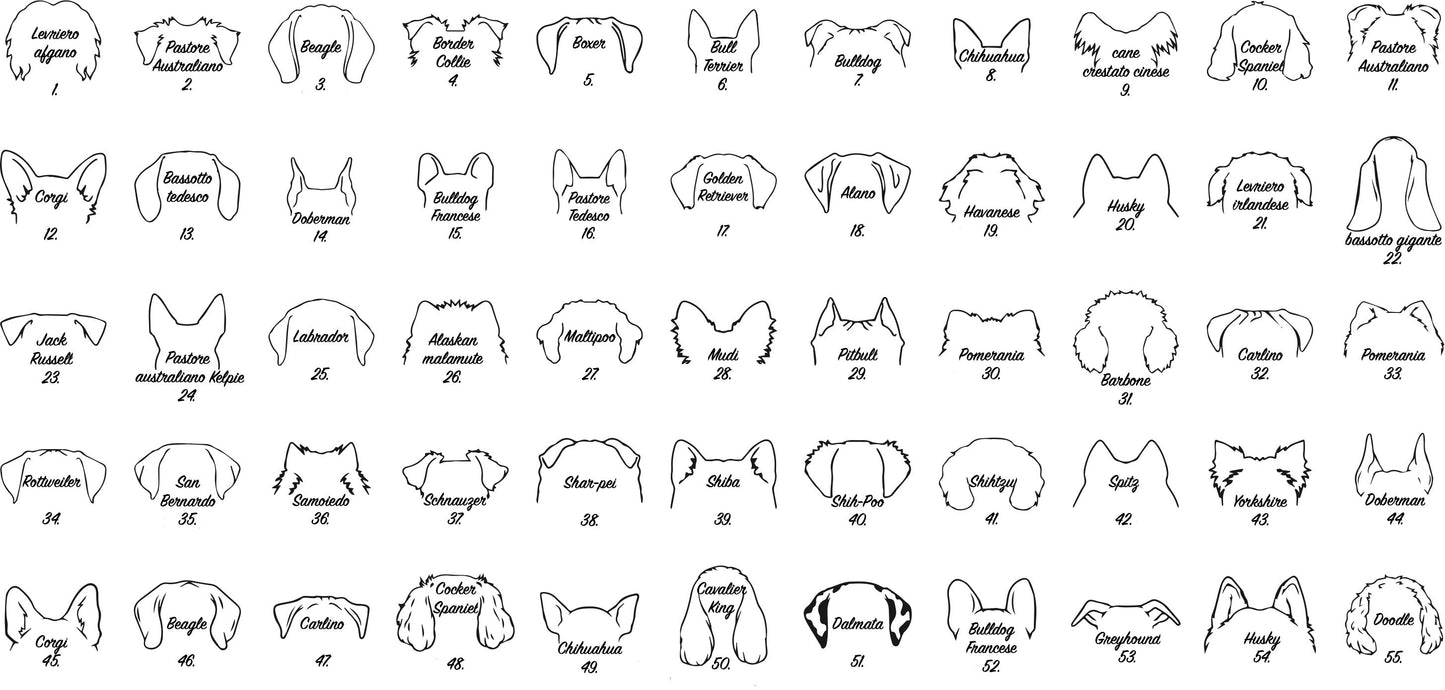 Felpa Amico a quattro zampe